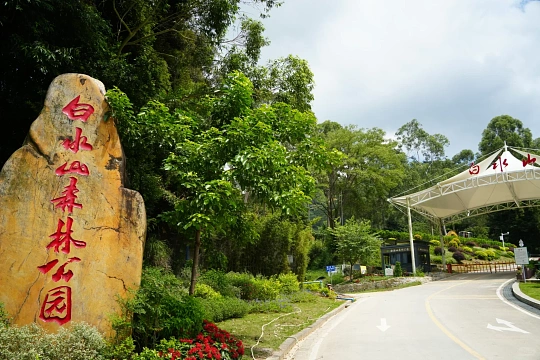 广州带孩子旅游