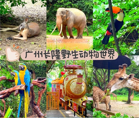 广州带孩子旅游