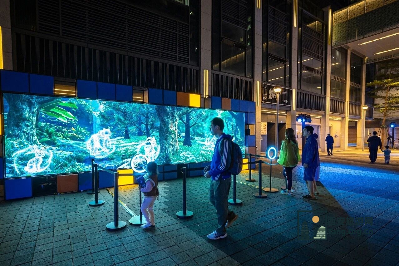 2025澳门国际光影节打卡攻略 | 带你玩转三大光影展区！