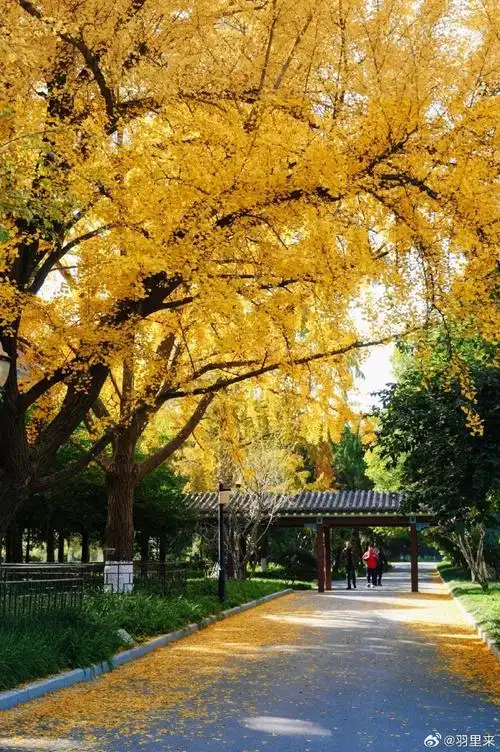 南京三天游攻略