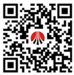 陕西煤业化工实业集团有限公司2025年12月招聘公告