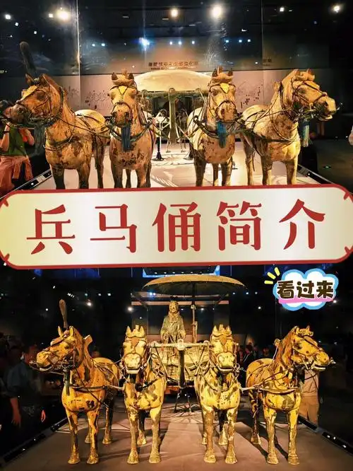 兵马俑的资料介绍