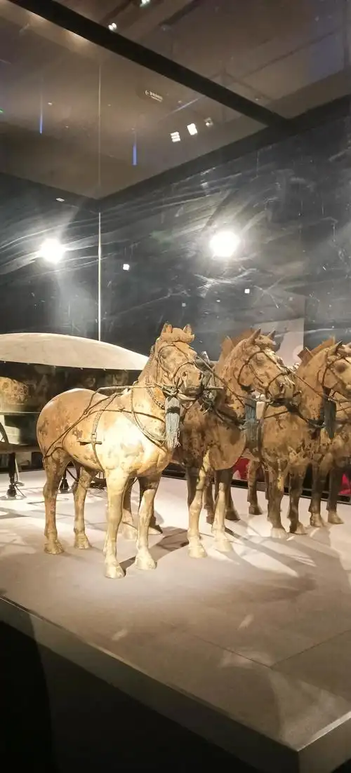 兵马俑允许游客拍照吗