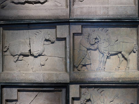 西安碑林门票免票政策