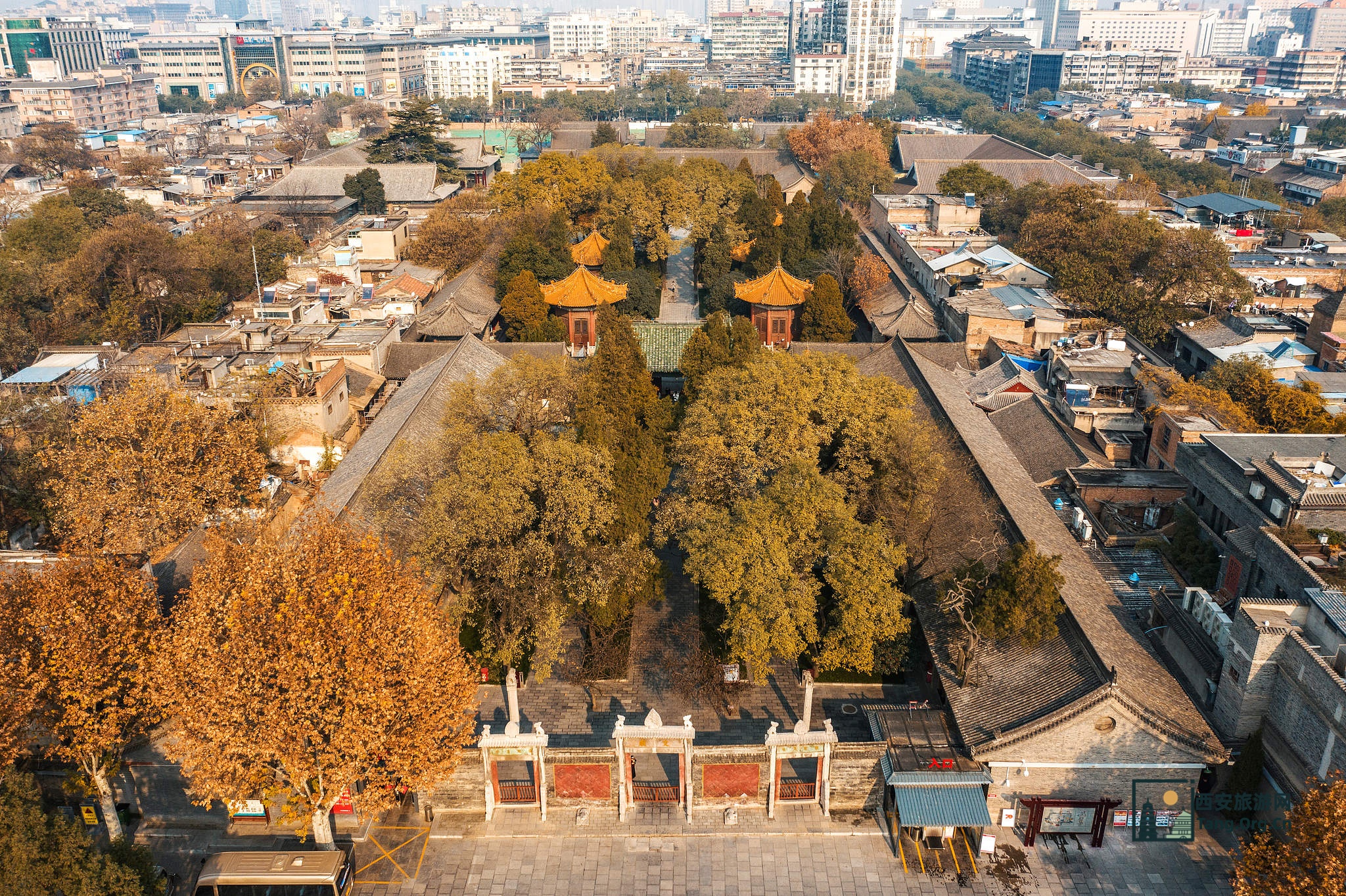 西安碑林门票免票政策