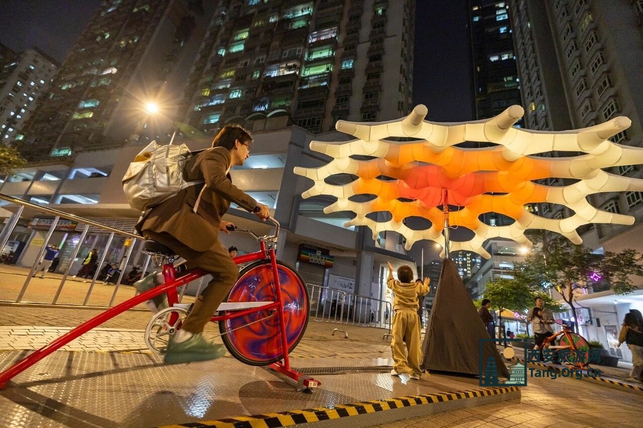 2025澳门国际光影节打卡攻略 | 带你玩转三大光影展区！