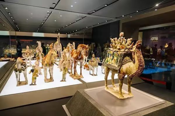 陕西历史博物馆在哪儿