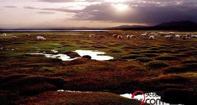 新疆旅游景点路线