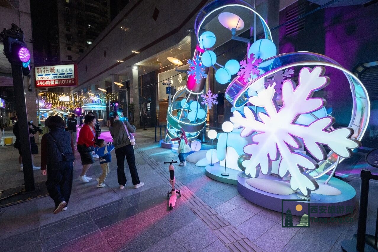 2025澳门国际光影节打卡攻略 | 带你玩转三大光影展区！