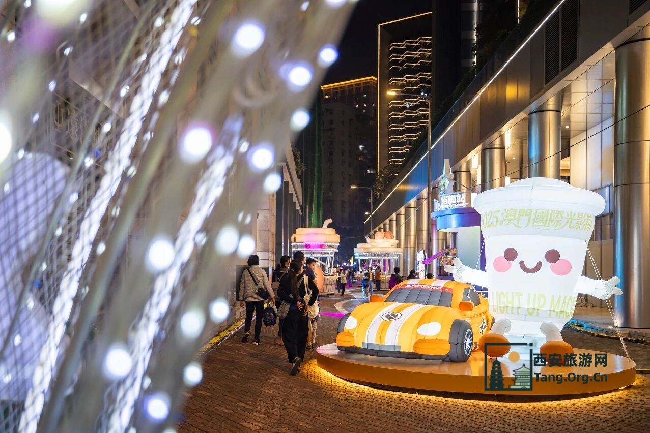 2025澳门国际光影节打卡攻略 | 带你玩转三大光影展区！