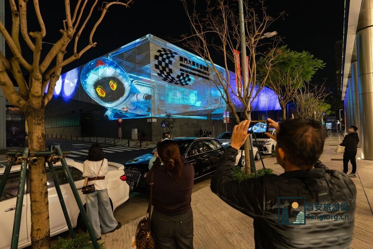 2025澳门国际光影节打卡攻略 | 带你玩转三大光影展区！