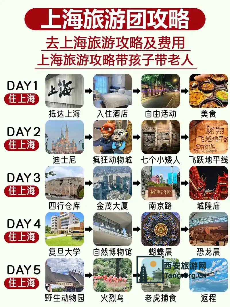 上海当地游玩跟团多少钱