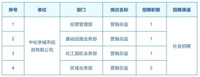 中化学城市投资有限公司2025年12月招聘公告（社招）
