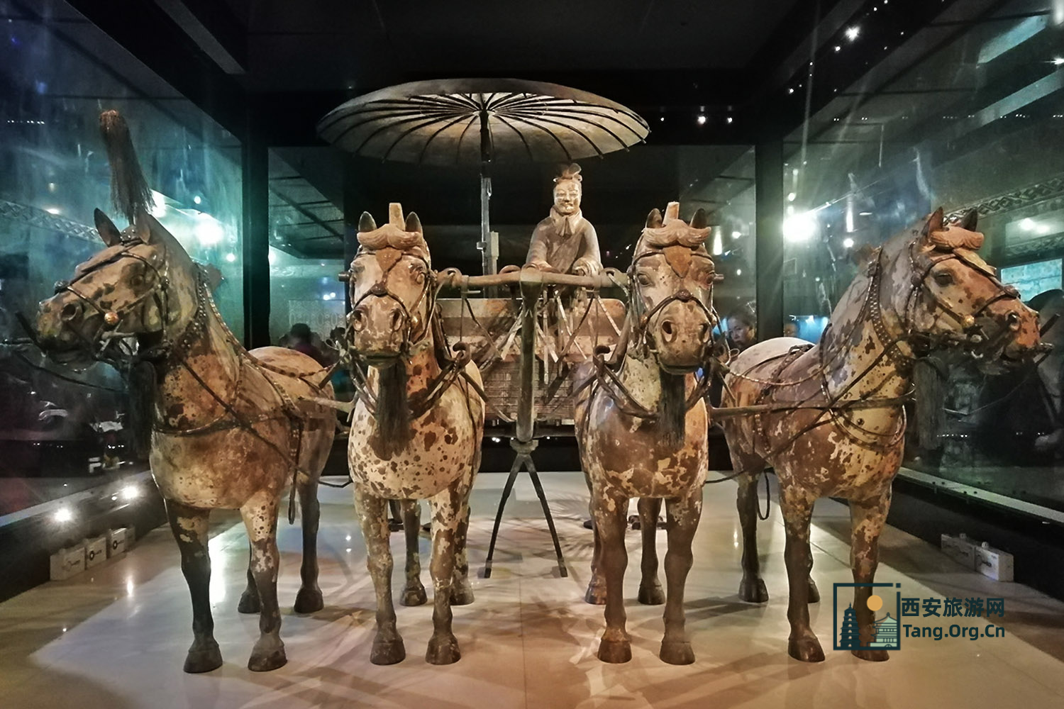 秦始皇兵马俑博物馆：世界第八大奇迹的震撼之旅