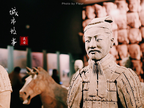 陕西历史博物馆开门