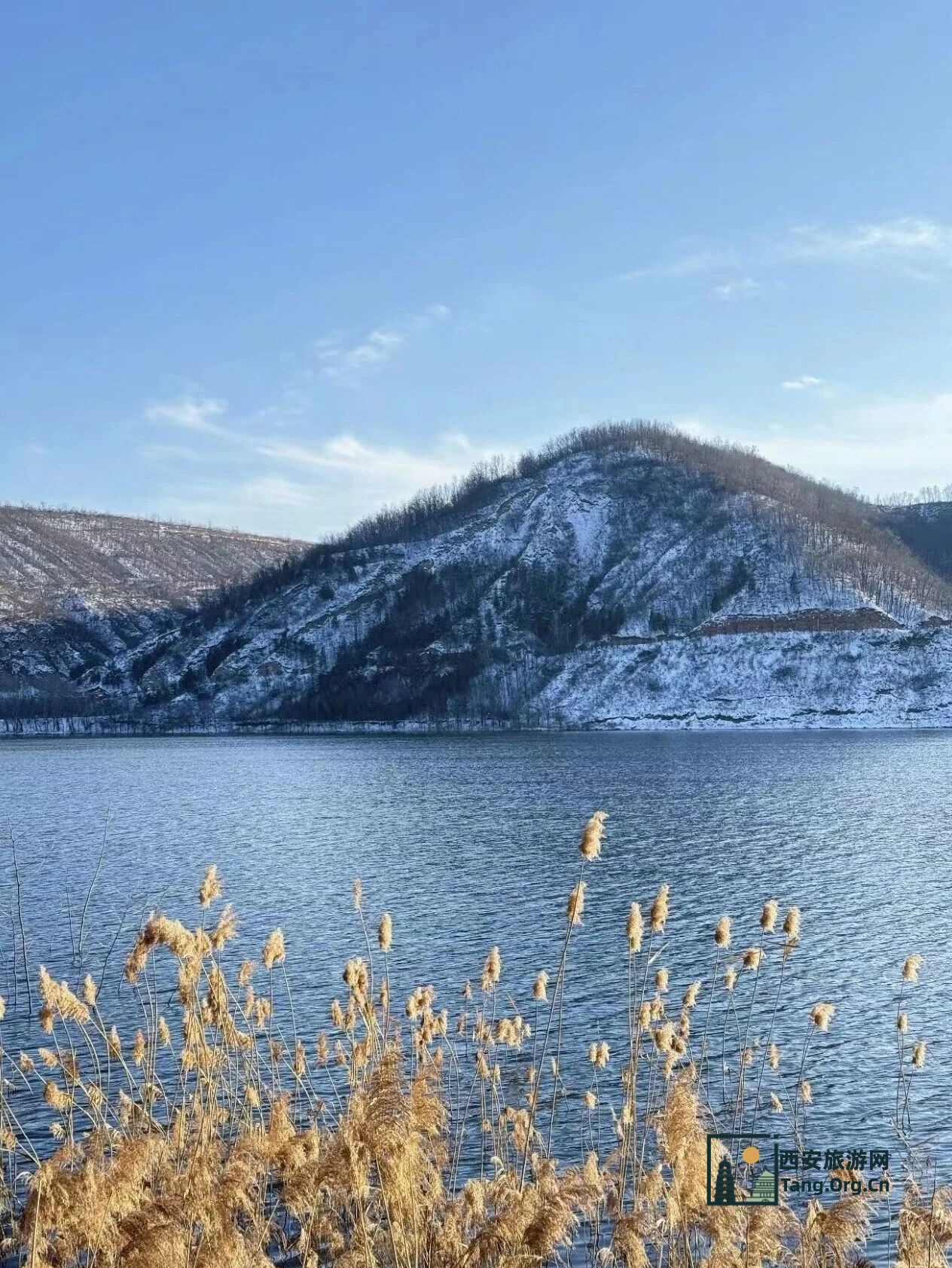 陕西人自己的赛里木湖！2h直达的冰湖孤树