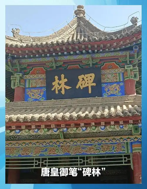 碑林博物馆里面有啥
