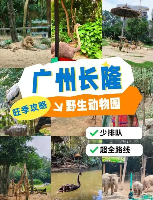 广州旅游攻略景点必去儿童