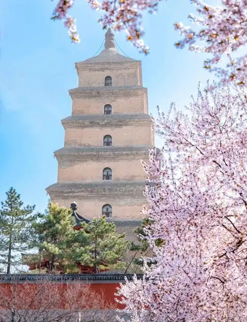 大雁塔美景介绍