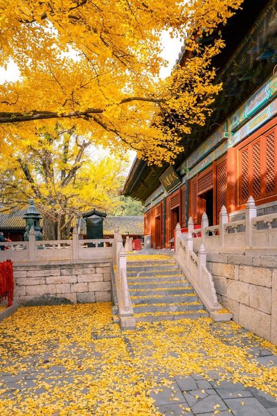 北京旅游旅行团报价
