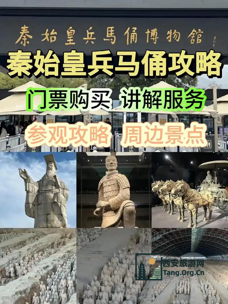 兵马俑怎么购票