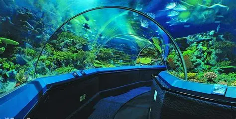 上海海洋水族馆门票价格及购票攻略
