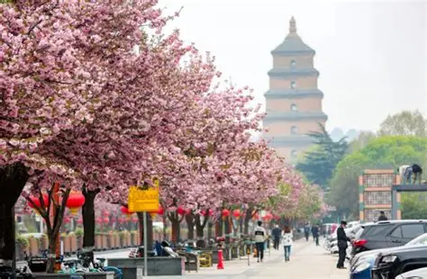 🌸 3月西安总体评价：四星半推荐