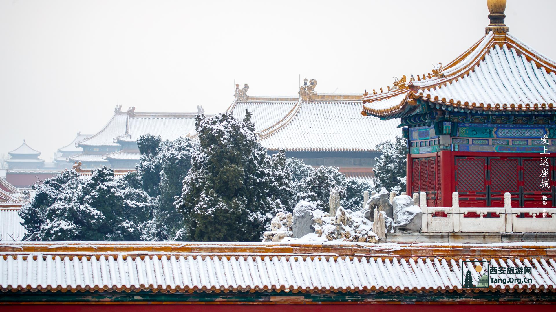 故宫门票极速预约指南：抢票成功率翻倍的实战技巧