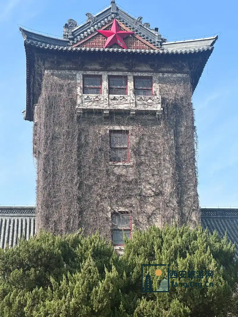 南京大学生景点