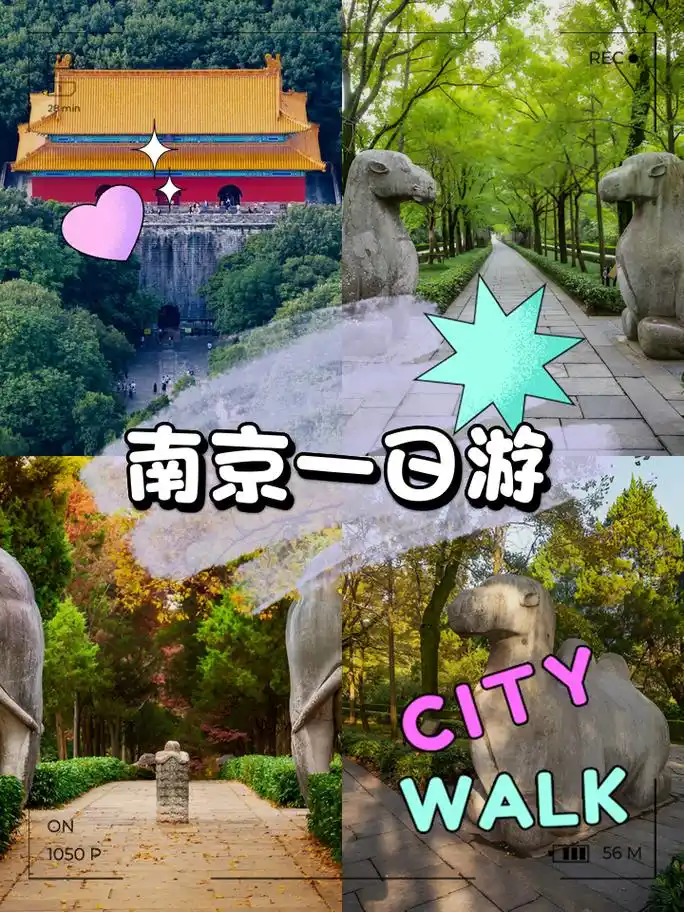 南京一日游