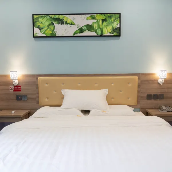 雅乐轩酒店(西安火车站北安远门地铁站店)基本介绍-西安酒店预定一律低至6折