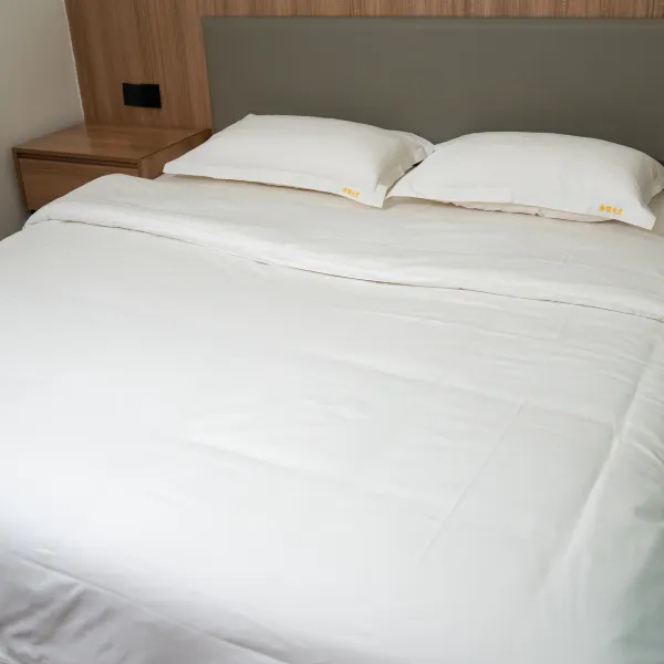 唐猫电竞酒店(西安太白南路店)基本介绍-西安酒店预定一律低至6折