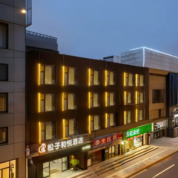 松子和悦酒店(丈八东路安化门地铁站店)基本介绍-西安酒店预定一律低至6折