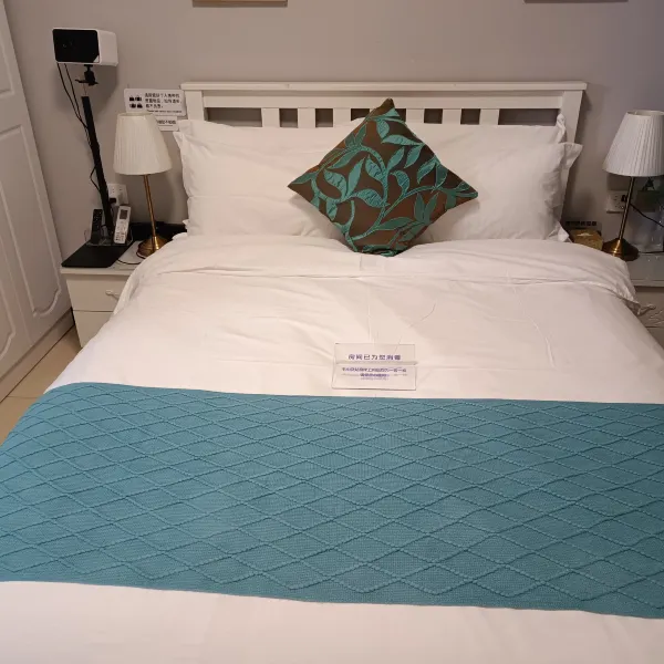 西安小庭雅院民宿(宫园中央店)基本介绍-西安酒店预定一律低至6折