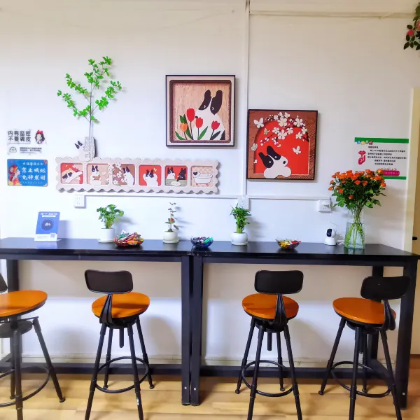 云朵眠吧女生青旅(木塔寺西地铁站店)基本介绍-西安酒店预定一律低至6折